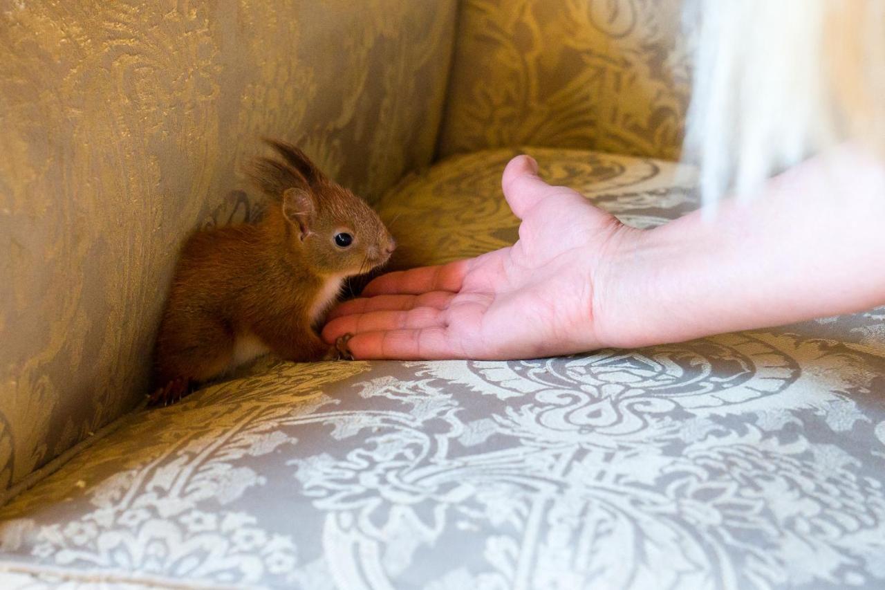ホテル Milusia ムシナ エクステリア 写真