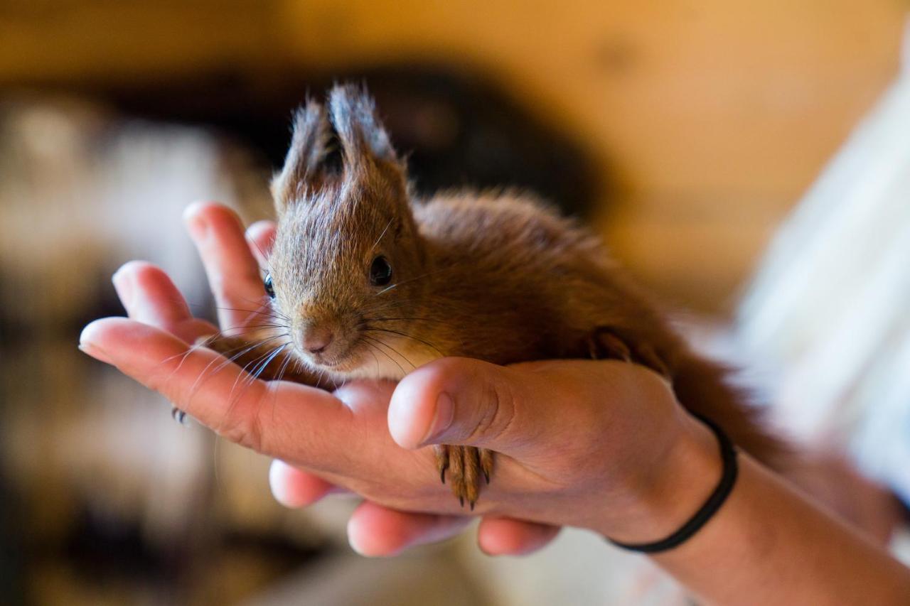ホテル Milusia ムシナ エクステリア 写真